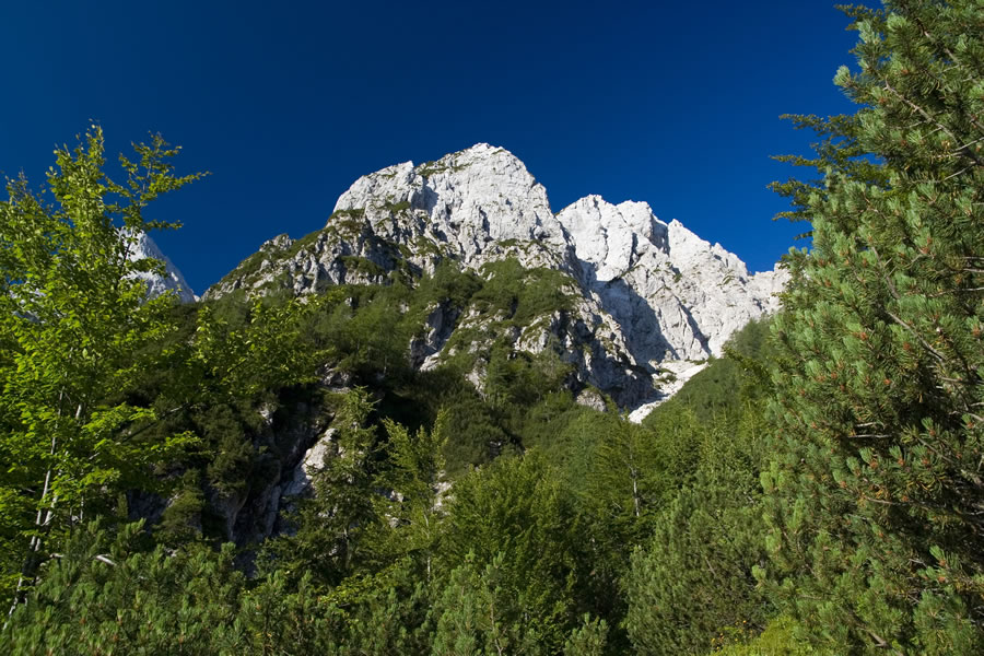 Nad potjo