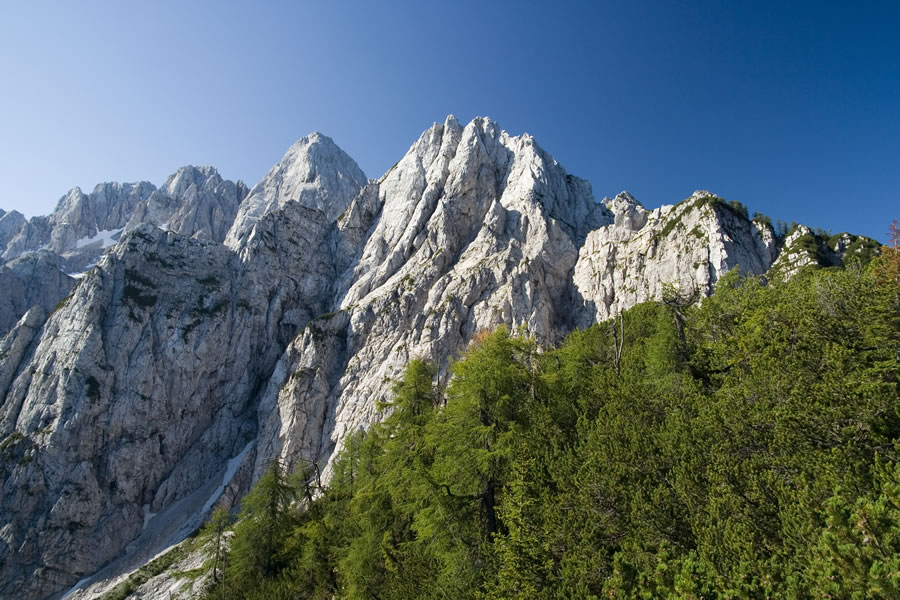 Ponci, Špik, Rušica, Rigljica