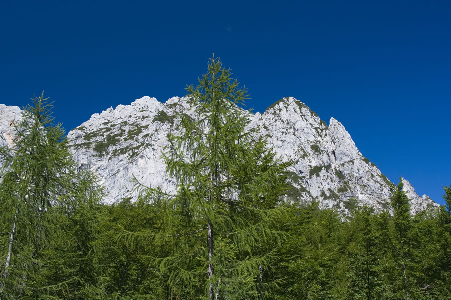 Nad krnico Pod Srcem