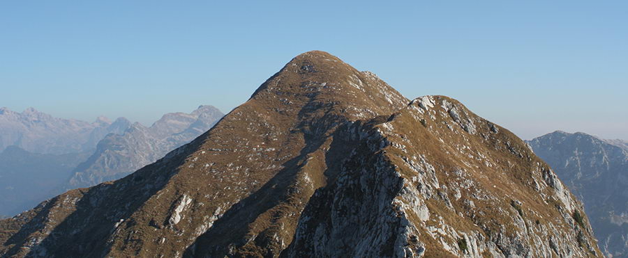 Vrh