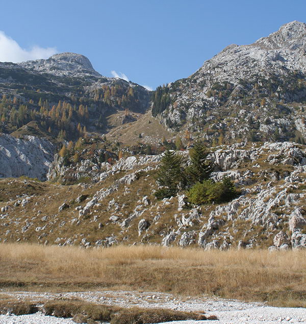 Čez Potoče