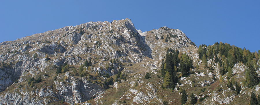 Lemež