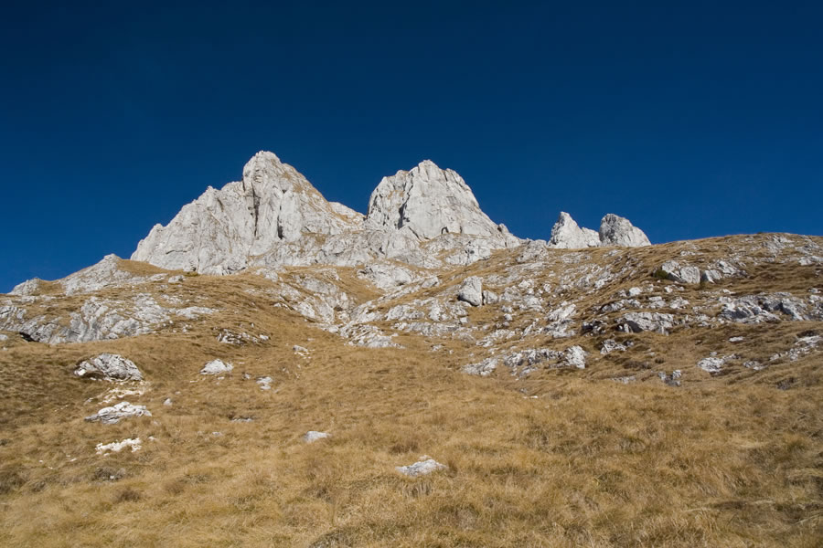 Male špice