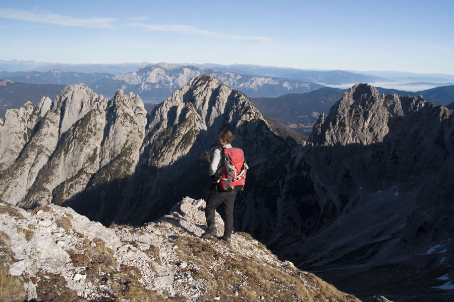 Breitkofel, Kopa, Bukovnik
