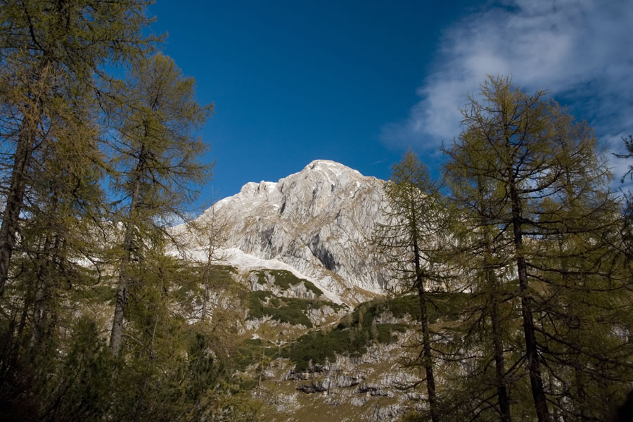 Mišelj vrh