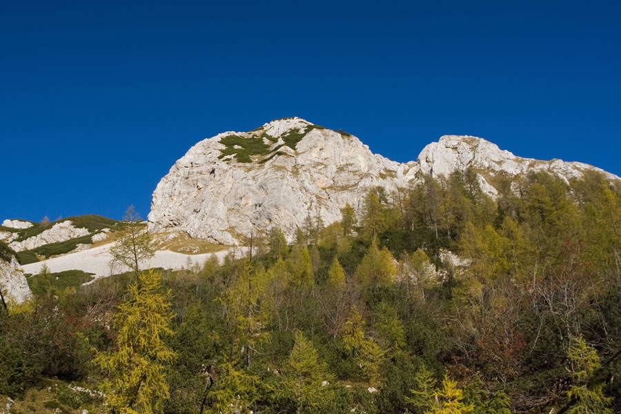 Ogradi s Planine Laz