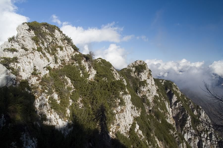 Rušnata Mlinarica