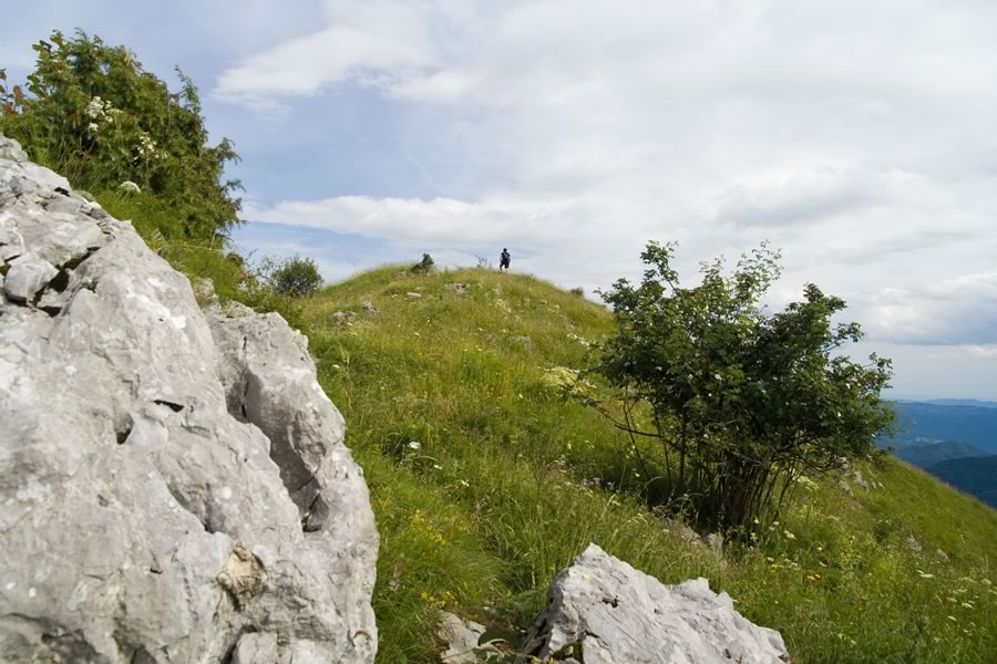 Na travnatem slemenu