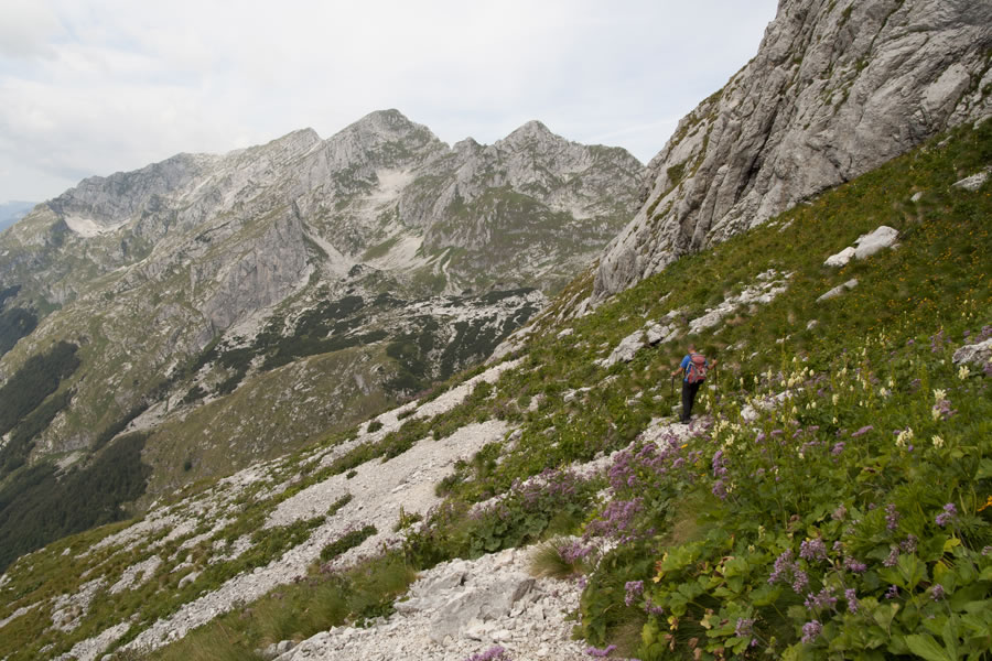 Oltarji, Briceljk, Morež