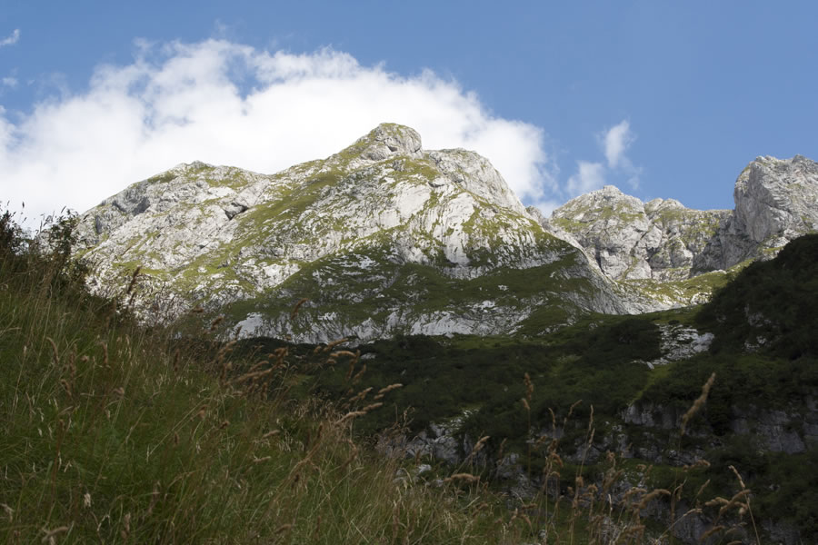 Srednji in Zadnji Pelc