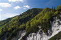 Borovje
