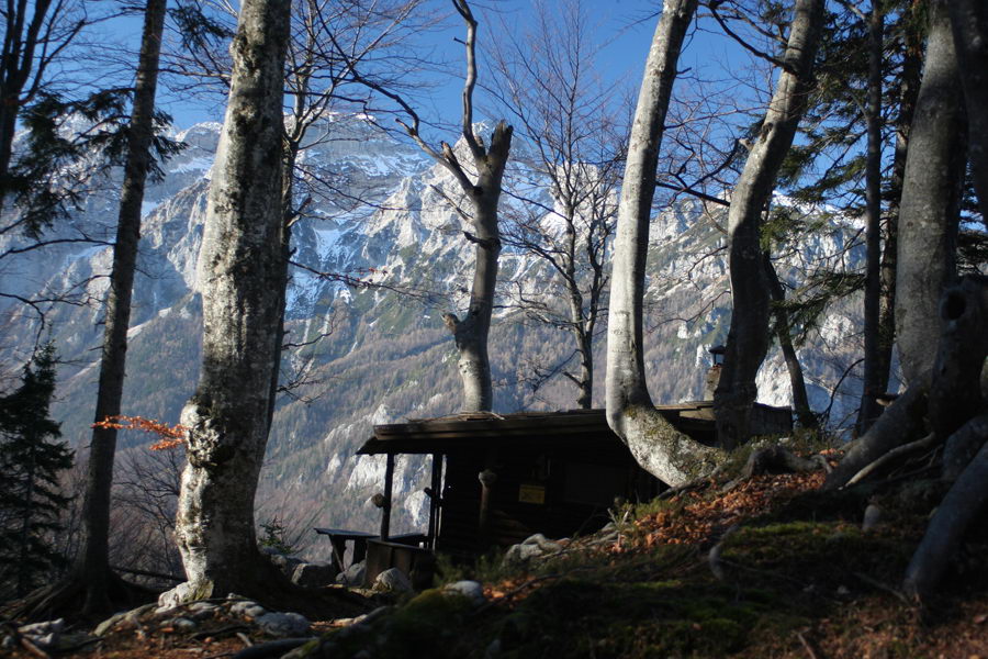Bivak