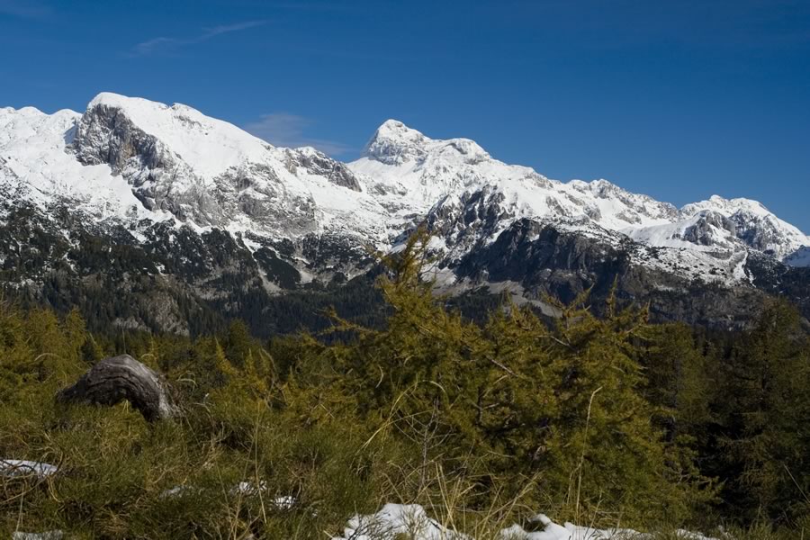 Debeli vrh in Triglav
