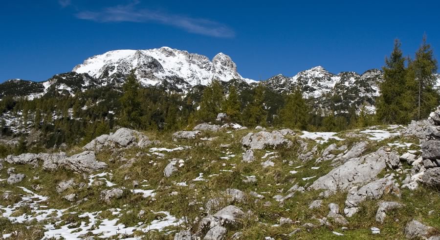 Mala in Velika Tičarica