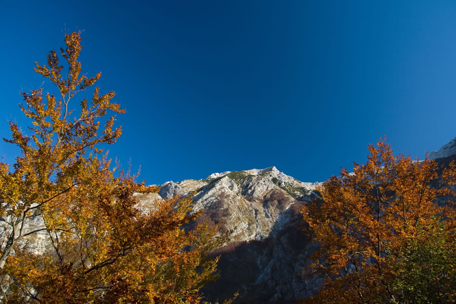 Nad Planino Na Prodih