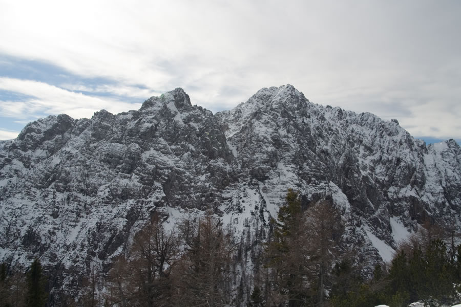 Palec, Zelenjak in Vrtača