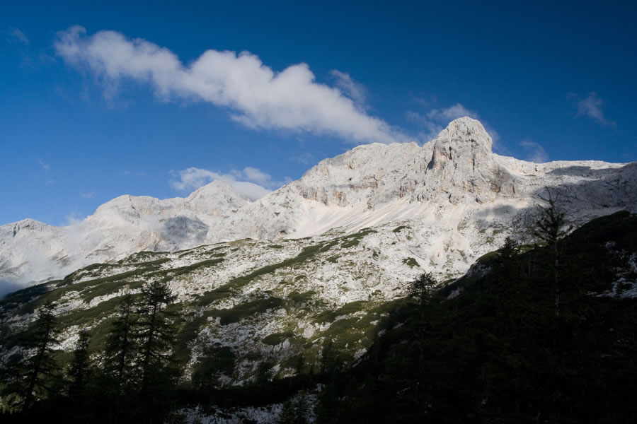 Triglav, Rž