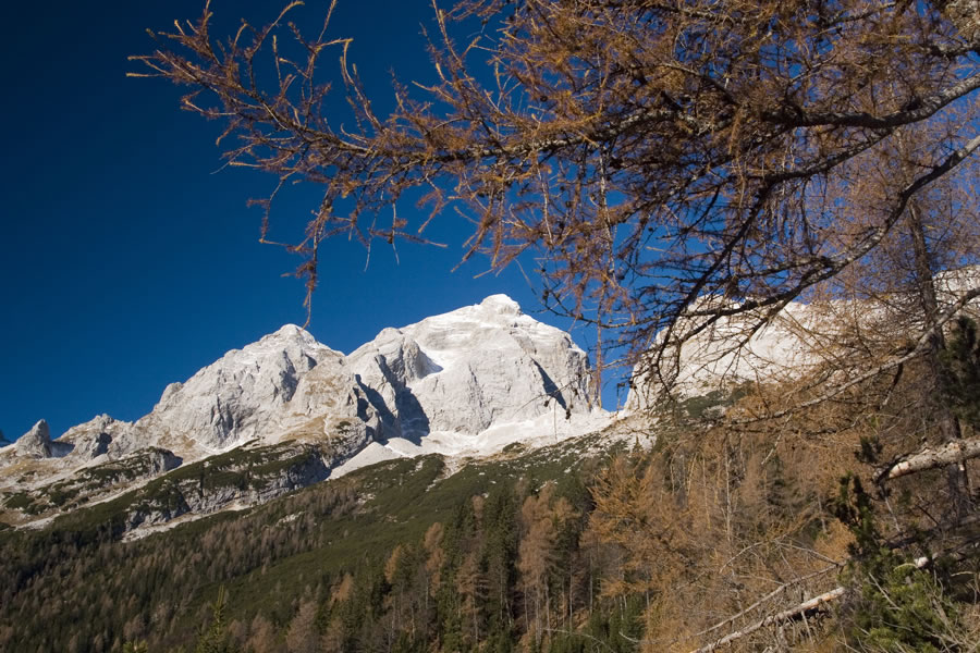 Veliki Ozebnik, Jalovec