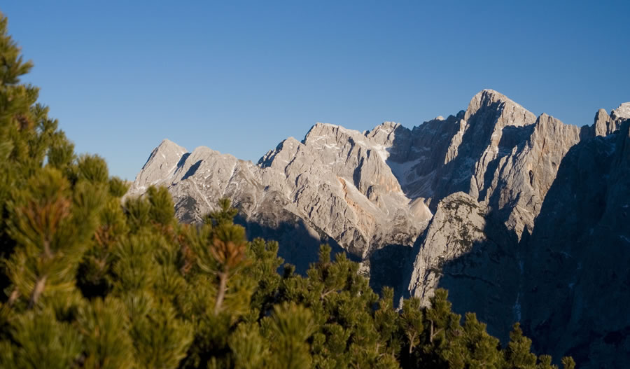 Špik, Lipnica, M. in V. Ponca, Oltar, Rokav, Škrlatica, Rakova špica, Rogljica