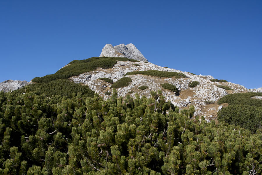 Nad Mišeljskim prevalom
