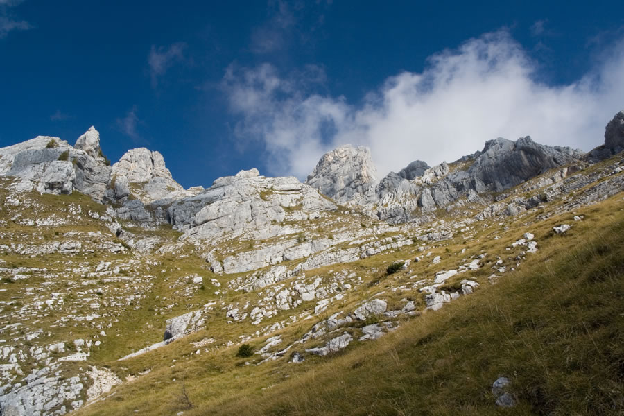 Proti Škrnatarici s pod Tičarice, Pšenk