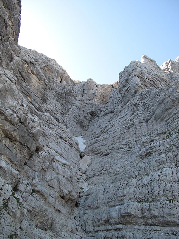 Slovenska grapa