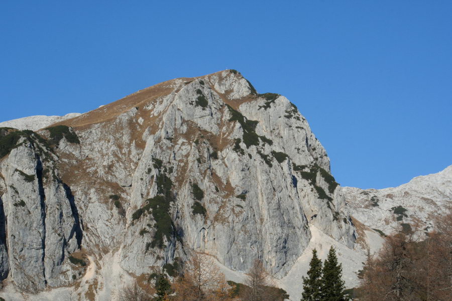 Ogradi