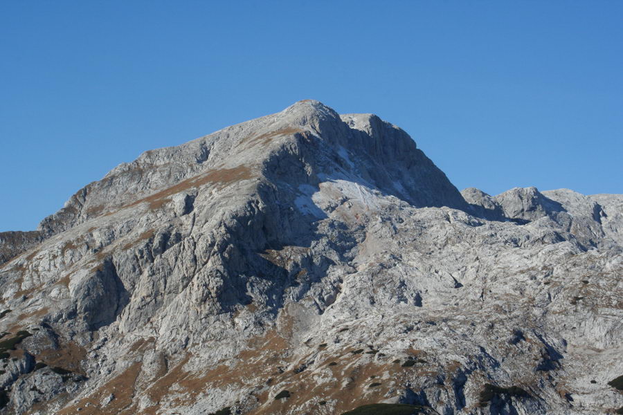 Debeli vrh
