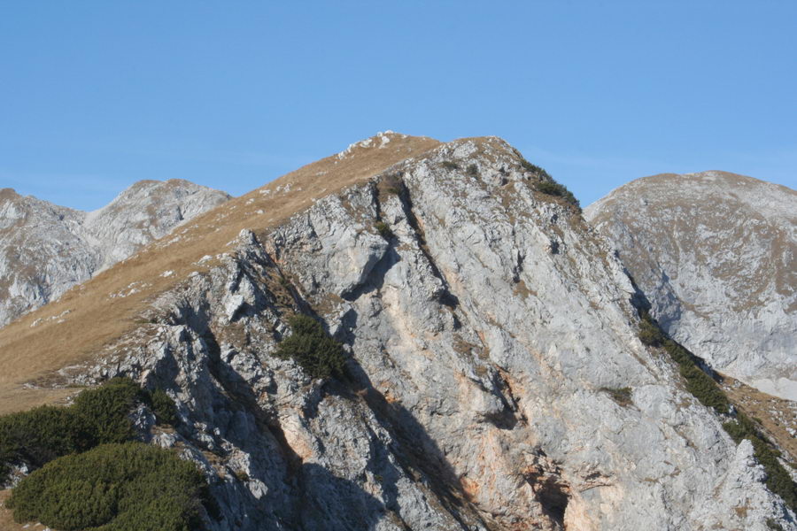 Prevalski Stog z Adama