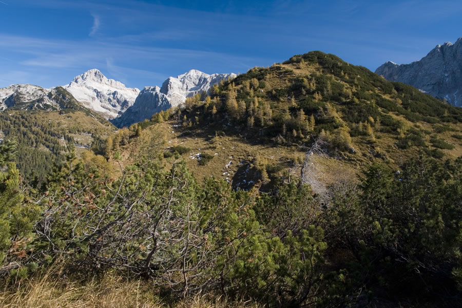 Triglav, Kanjavec, Čisti vrh