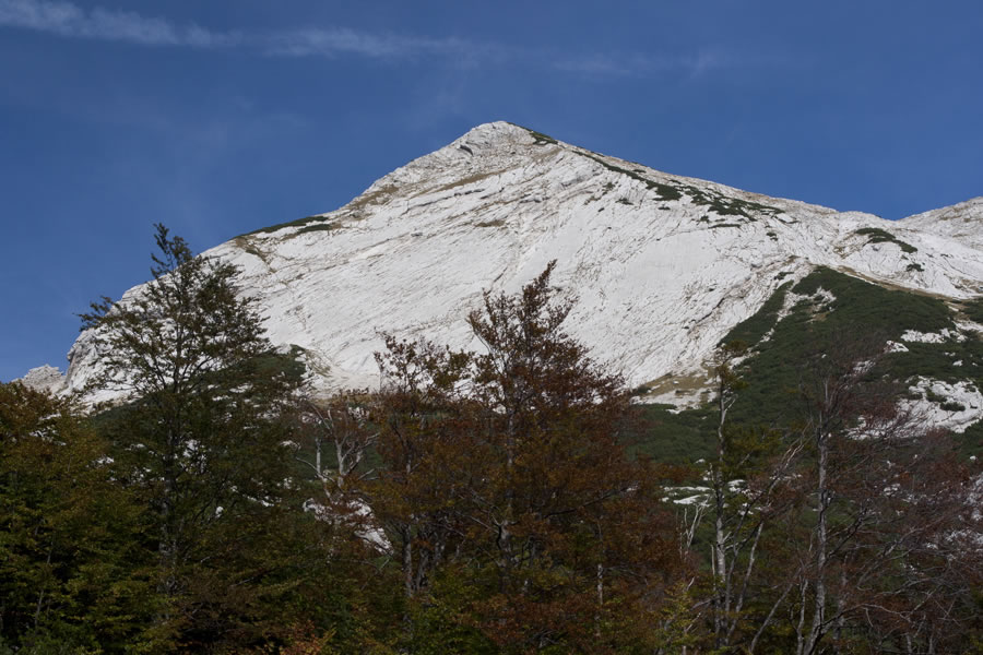Vrh nad Škrbino