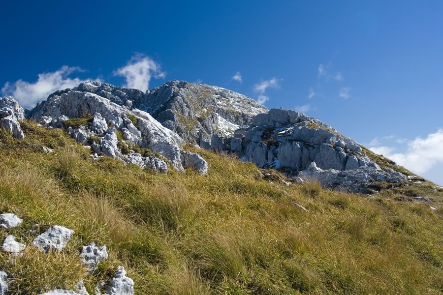 Plaski Vogel in Travnik