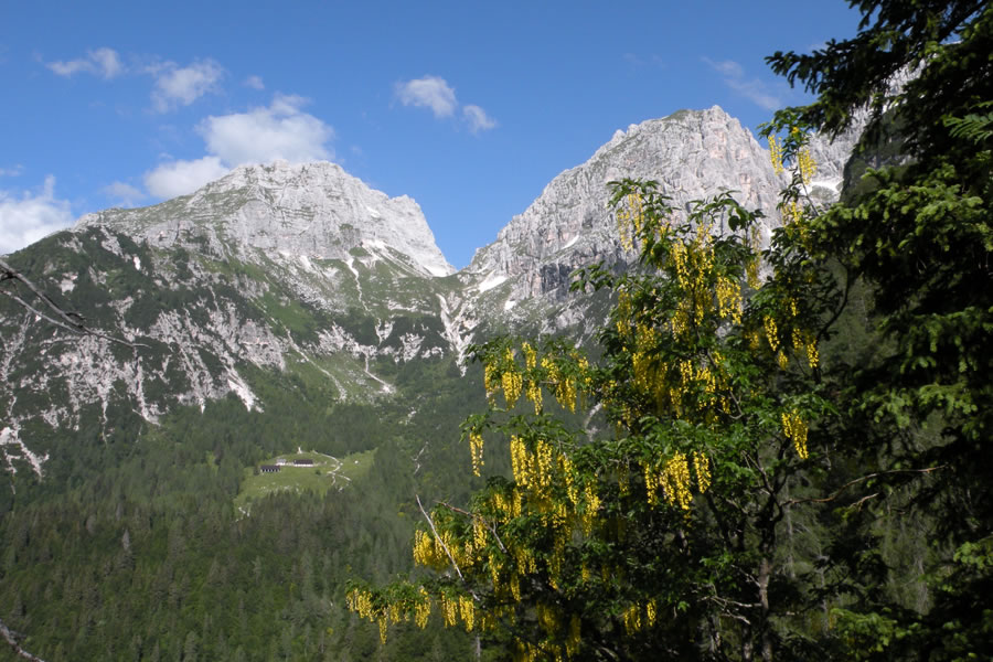 Škrbina prednje Špranje