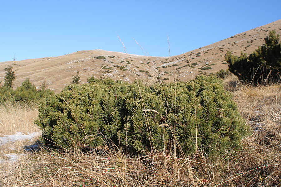 Grapa nad planino, ob kateri se povzpnemo na greben