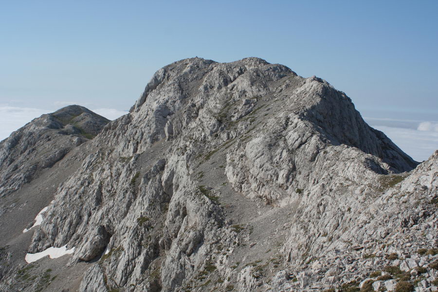 Zadnji Vogel