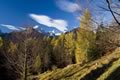 Mojstrovke, Jalovec