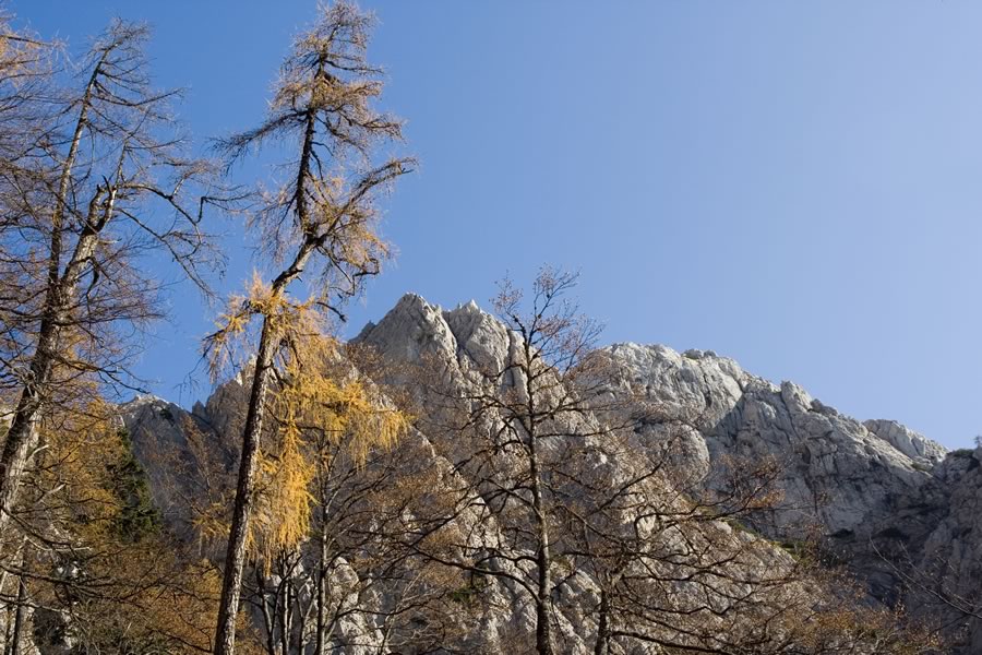 Staničev vrh