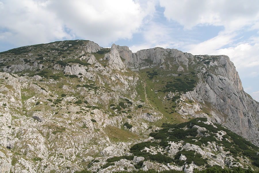 Sestopna gedina