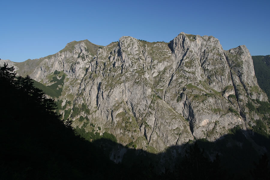 Valušnica