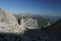 Krošnja