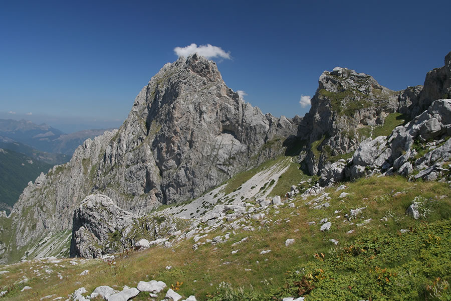Očnjak