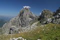Očnjak