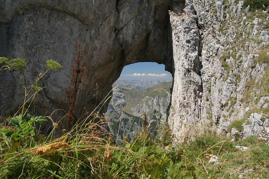 Šuplja vrata