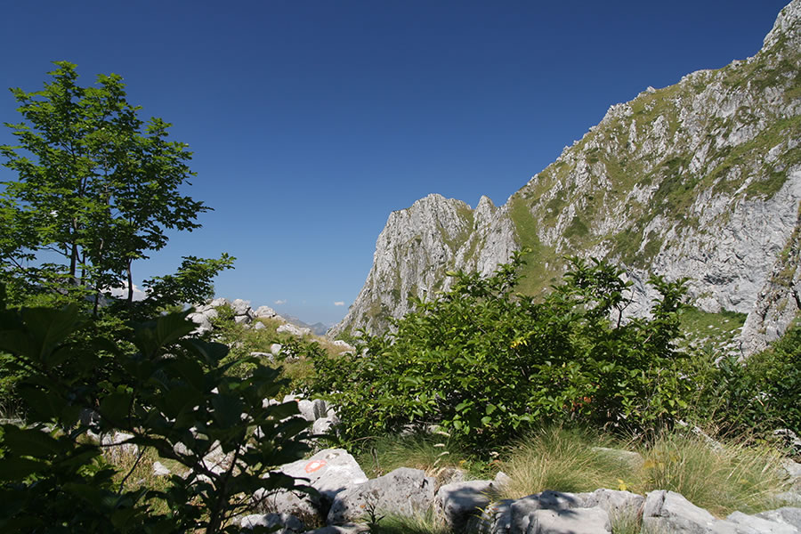 Dolina Ljubokuć