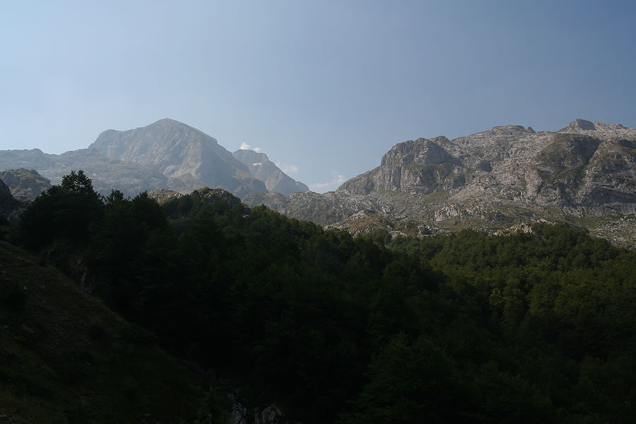 Kolata