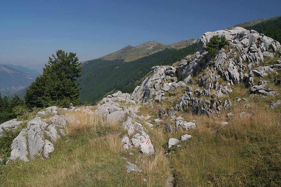 Pobočje Bora