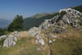 Pobočje Bora
