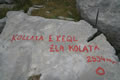 Ob poti