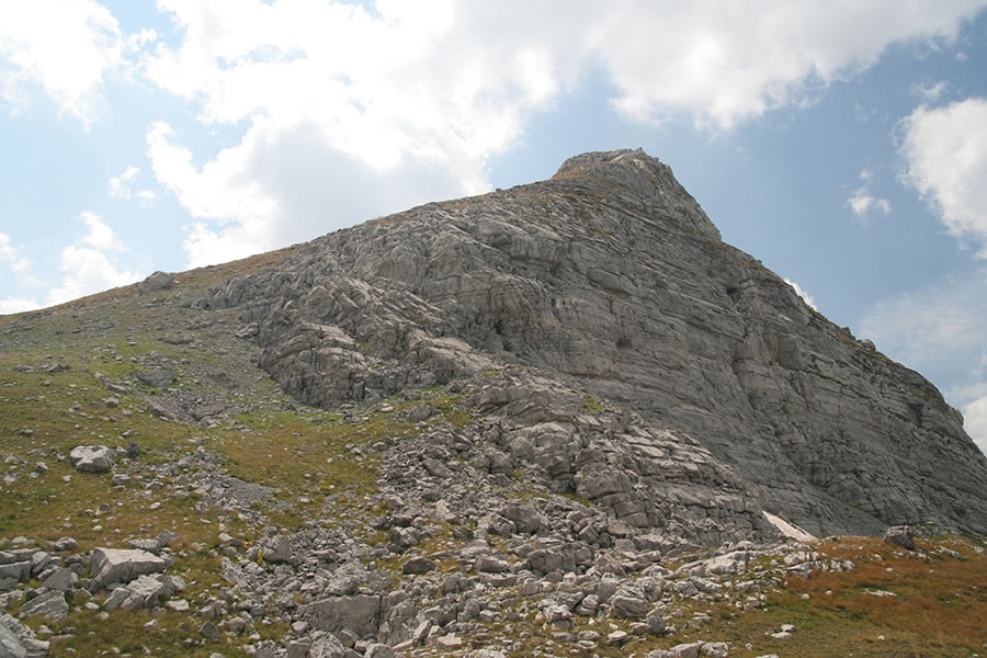 Zla Kolata