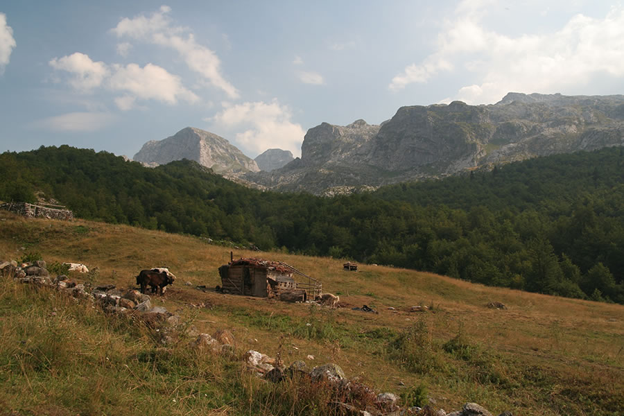 Planina Fuš Sirma